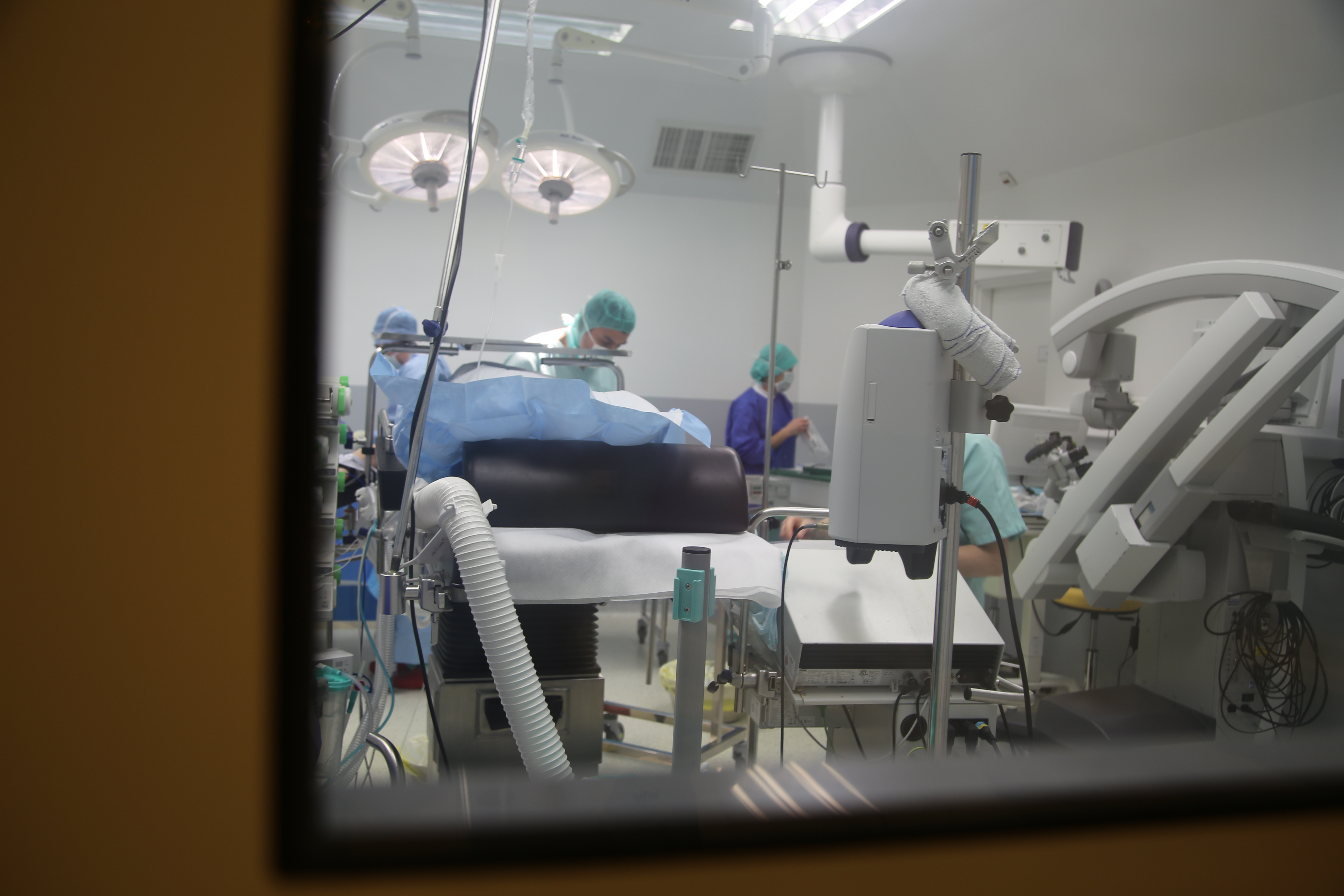 Service Epilepsie Ghu Paris Psychiatrie Neurosciences