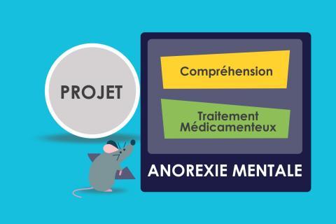 Ressources sur l'anorexie mentale | GHU Paris psychiatrie ...
